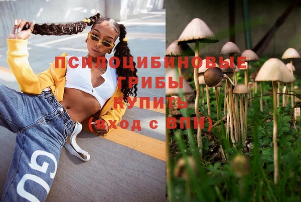 соль курить ск Наволоки